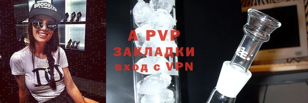 трава Пересвет