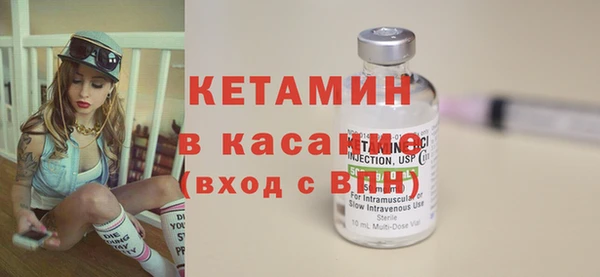 трава Пересвет