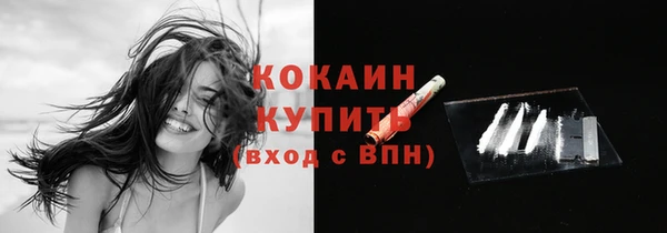 ECSTASY Пестово