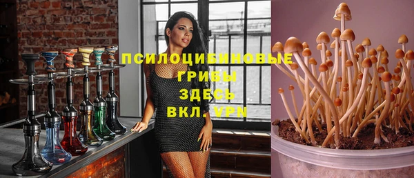прущие крисы Переславль-Залесский