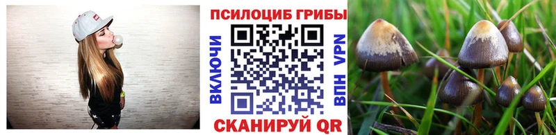 Псилоцибиновые грибы MAGIC MUSHROOMS  Купить  Россошь 