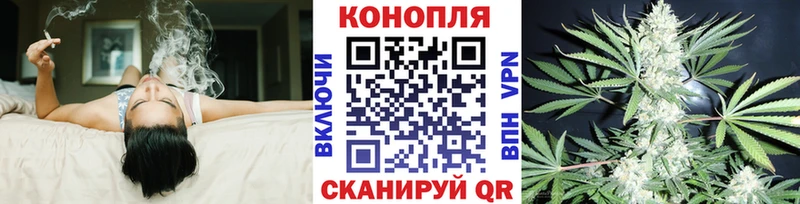 Купить  Россошь  Марихуана OG Kush 